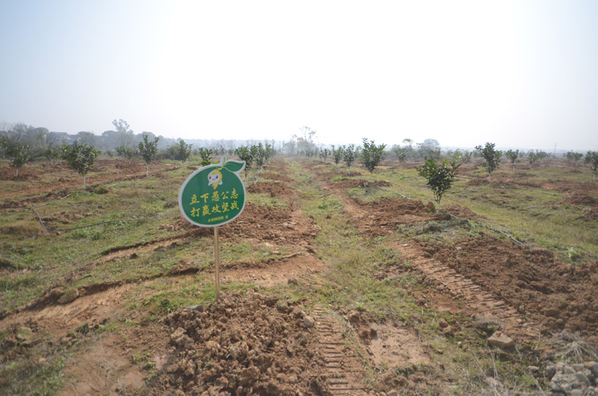 �������ֻ������r�� �z